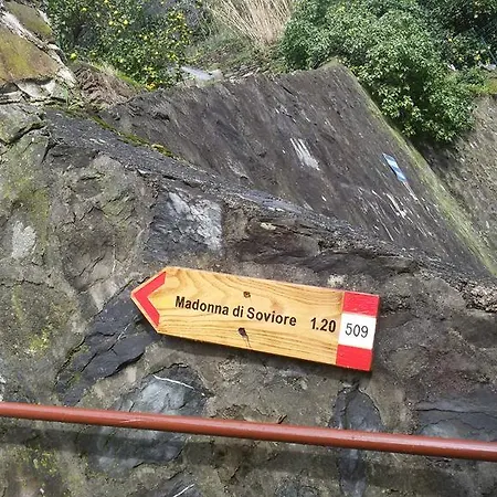 Casa de hóspedes I Lecci Di Soviore 3*